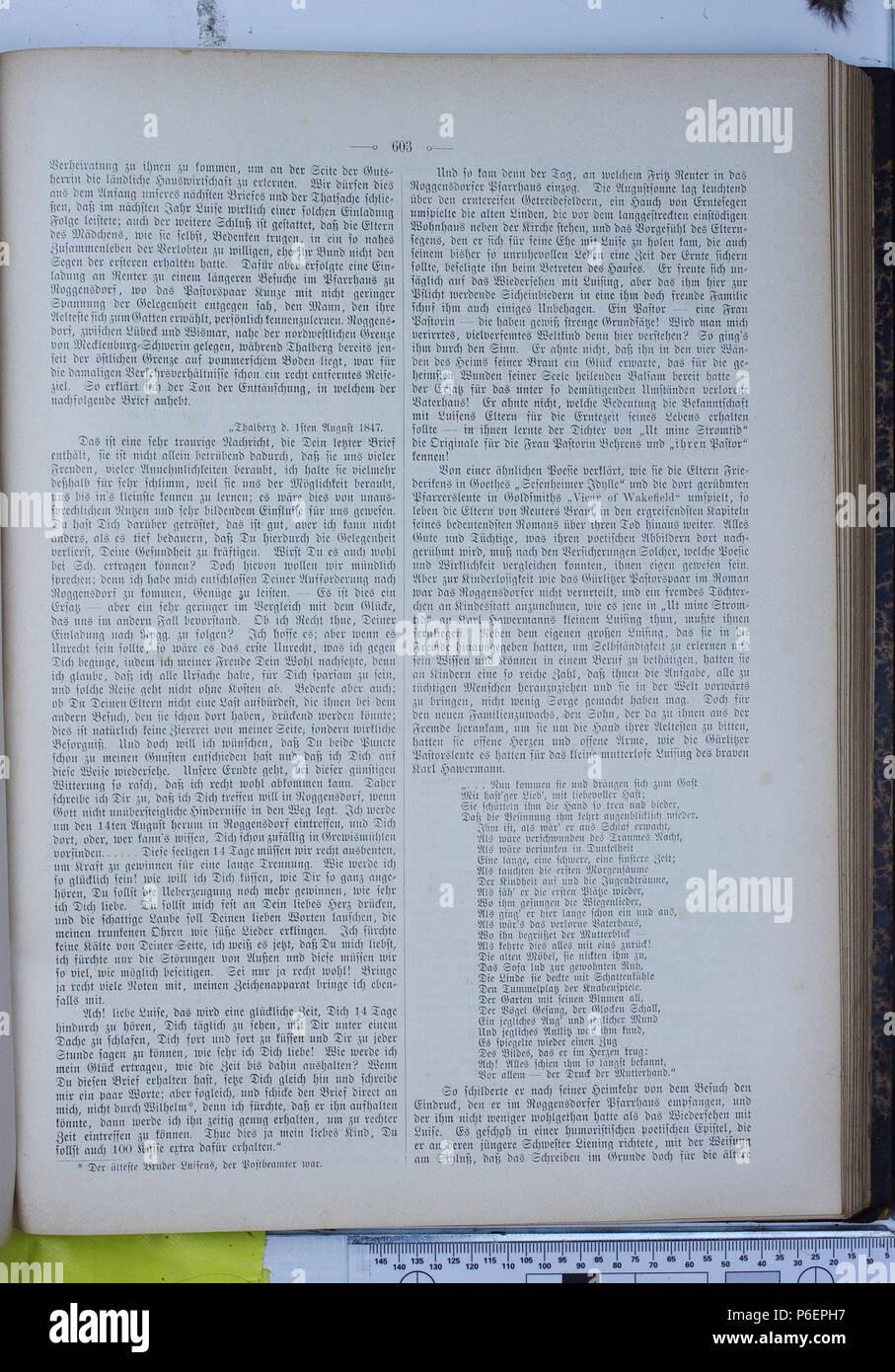 . Gartenlaube sterben. Ausdruck Fehler: nicht erkanntes Wort 'die'. English: keine Bildunterschrift Englisch: keine Bildunterschrift. N/A26 Gartenlaube (1896) 0603 sterben Stockfoto