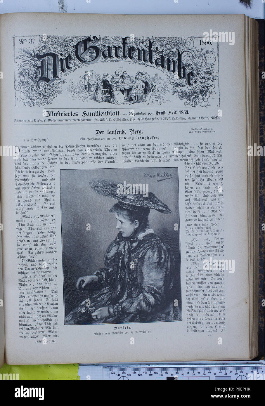 . Gartenlaube sterben. Ausdruck Fehler: nicht erkanntes Wort 'die'. English: keine Bildunterschrift Englisch: keine Bildunterschrift. N/A26 Gartenlaube (1896) 0613 sterben Stockfoto