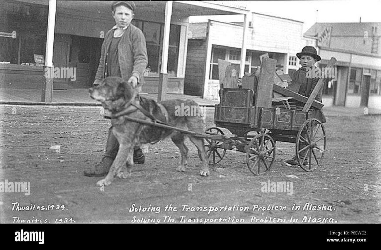 dog pulling cart