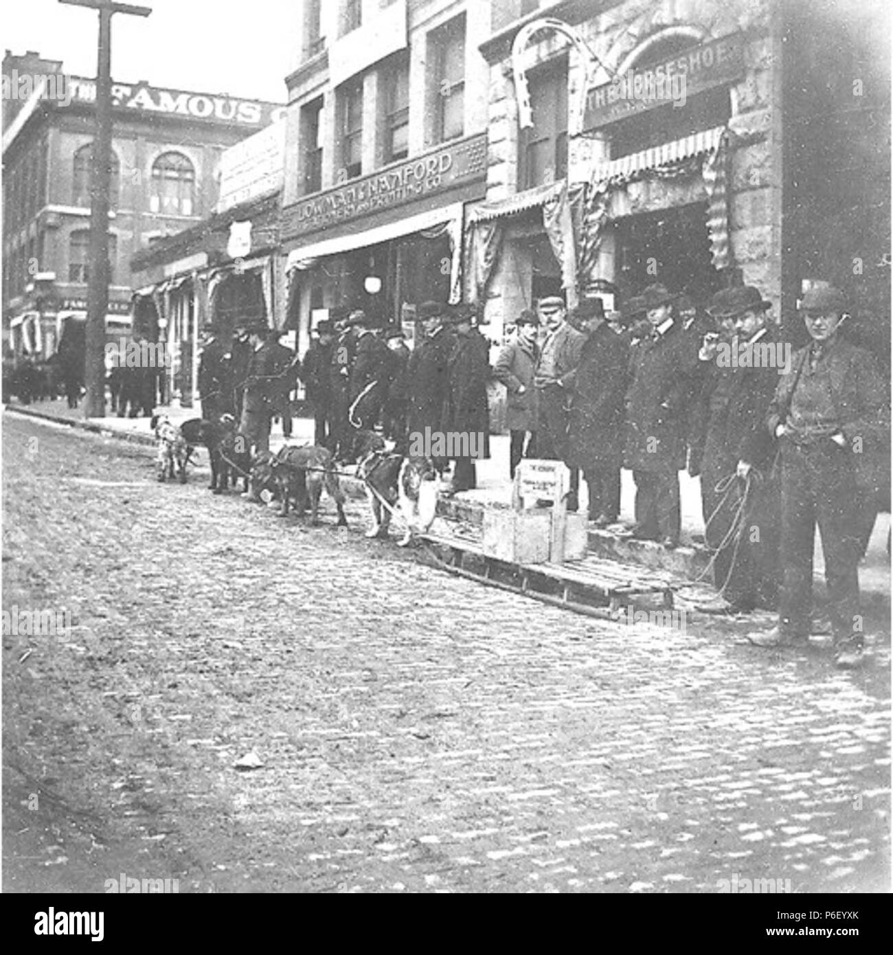 . Englisch: Hundeschlitten Team auf dem Display vor Der Lowman und Hanford Stationäre und Printing Co., Seattle, Washington, Januar 1898. Englisch: Lowman und Hanford Gebäude in der Nähe von Pioneer Square befindet sich auf der 1. Avenue South. Auf der Rückseite des Bildes: Außerhalb der Lowman und Hanford Stationäre, Seattle Text von Kiehl anmelden: H.W. Bussarde dogteam. Jan 1898. Album 2.067 Probanden (LCTGM): Männer - Washington (State) - Seattle Themen (LCSH): Schlittenhunde - Washington (State) - Seattle; Schlitten - Washington (State) - Seattle; Pioneer Square (Seattle, Washington); First Avenue (Seattle, Washington); Central Business Districts - Washin Stockfoto