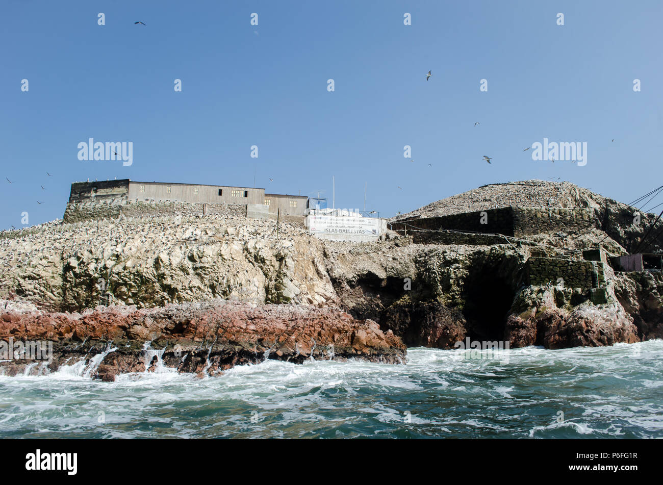 Die Ballestas Inseln in Peru Stockfoto