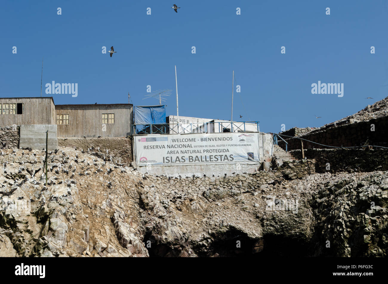 Die Ballestas Inseln in Peru Stockfoto