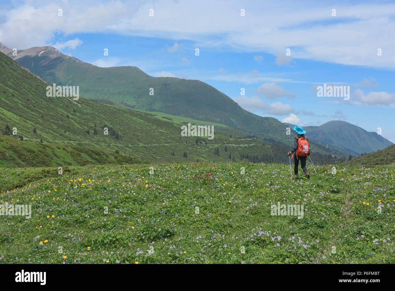 Trekking durch Felder von Wildblumen auf dem alpinen Keskenkija Trek, Jyrgalan, Kirgisistan Stockfoto