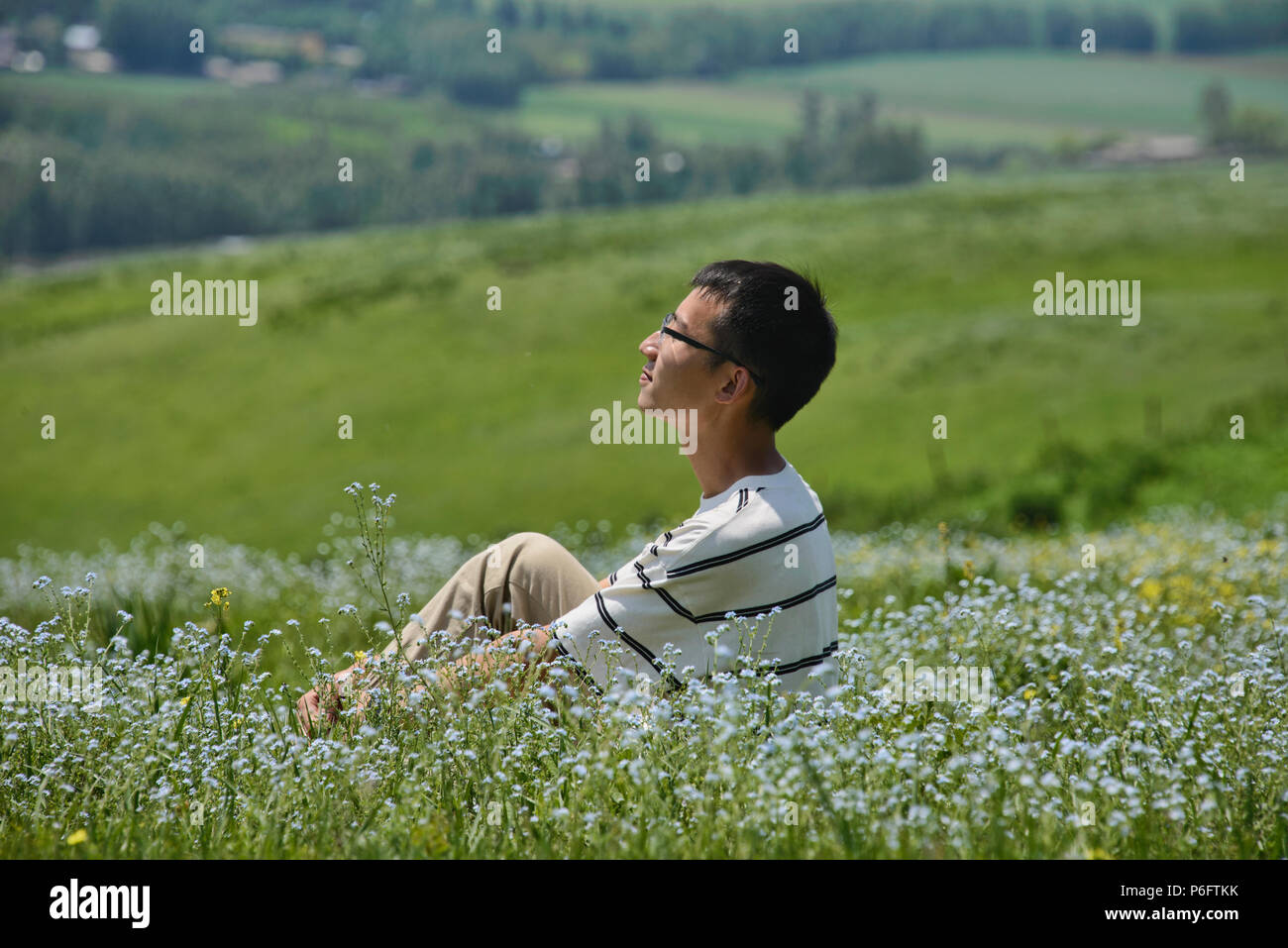 Genießen Sie die Wildblumen im Grasland von Nalati, Xinjiang, China Stockfoto