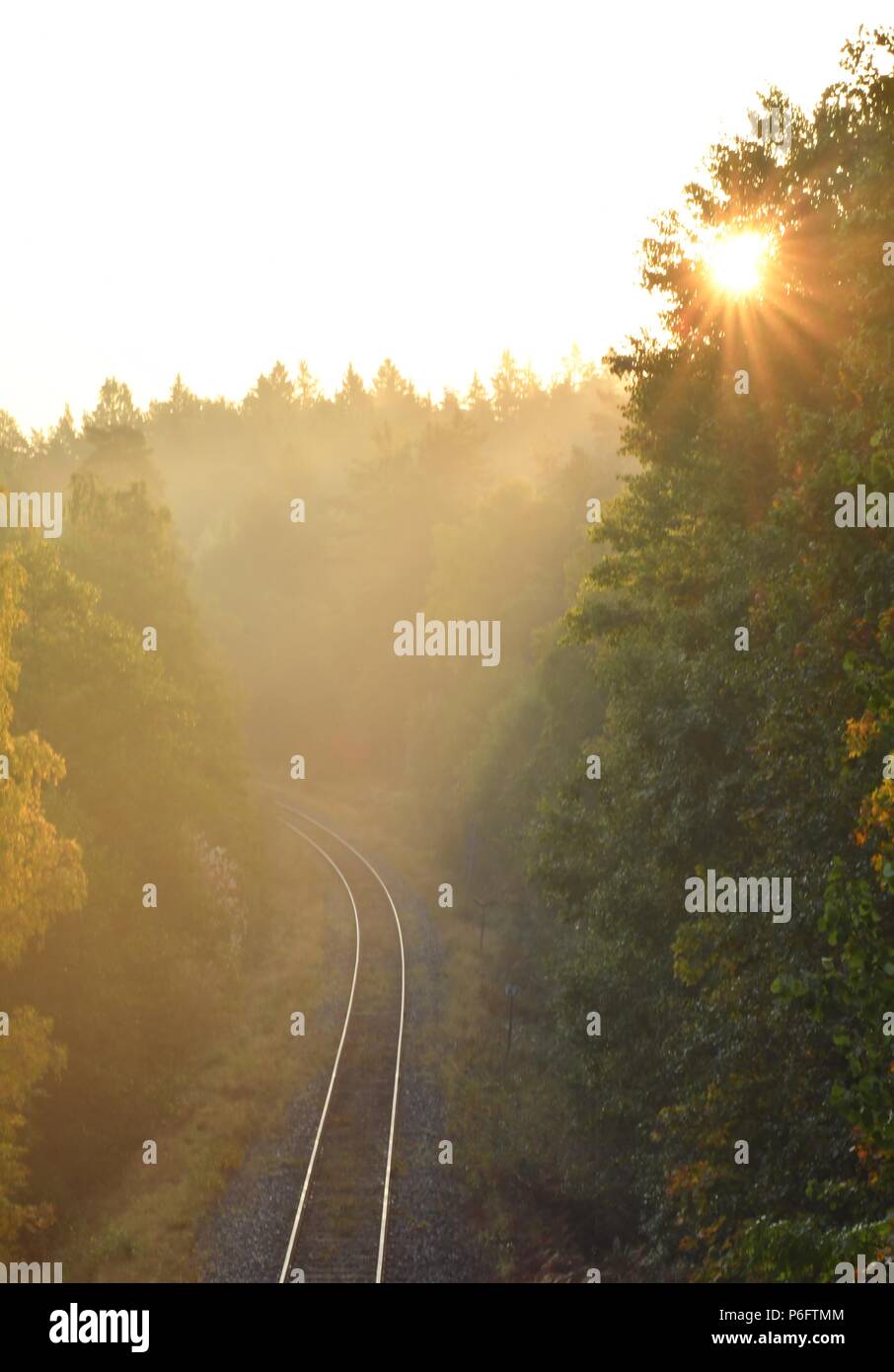 Nebel Sonnenaufgang in der Landschaft. Linköping, Schweden. September, 2017. Stockfoto