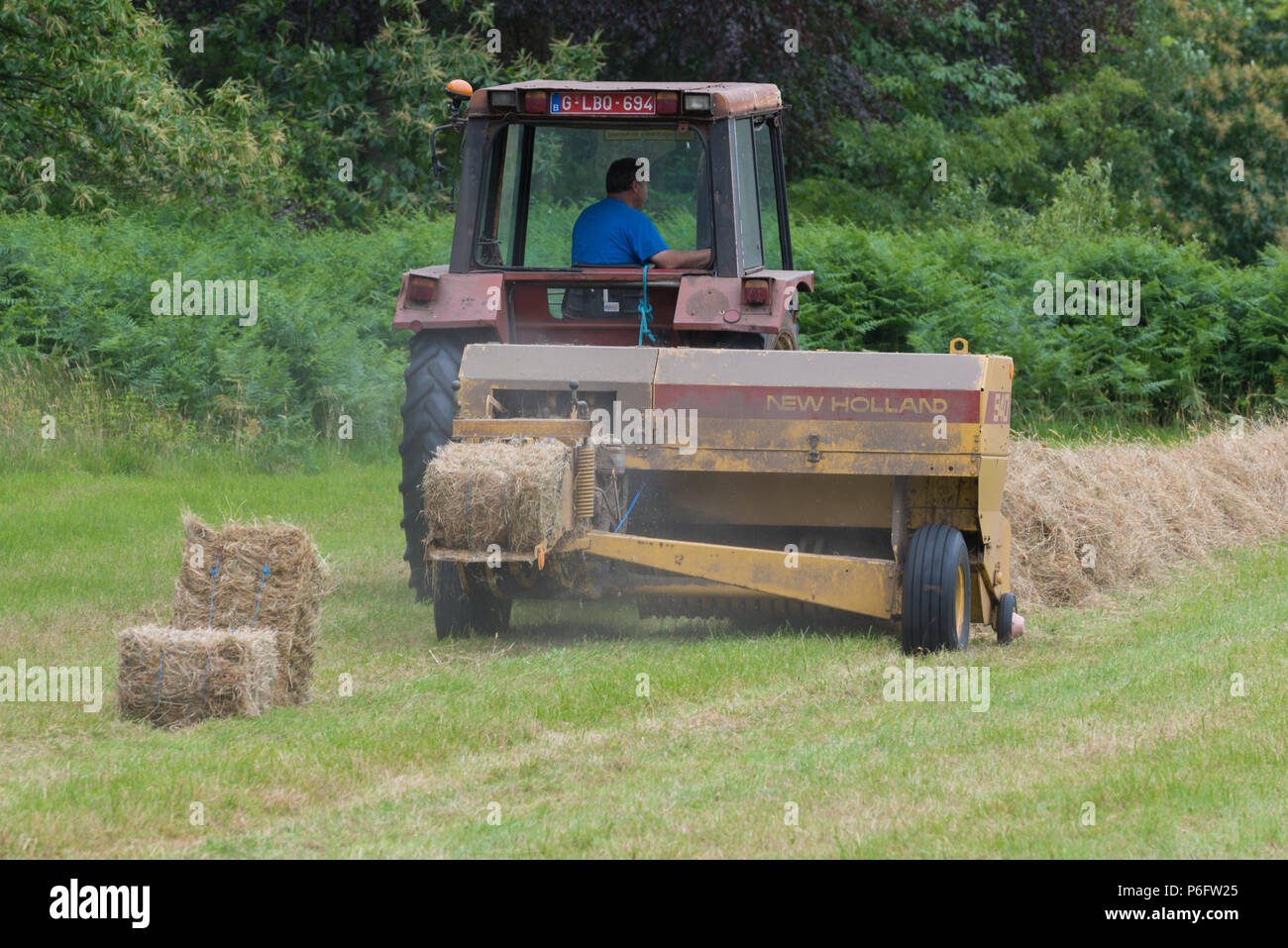 Landwirt mit seinem Traktor zu kompakten Heu in Ballen Heu Stockfoto