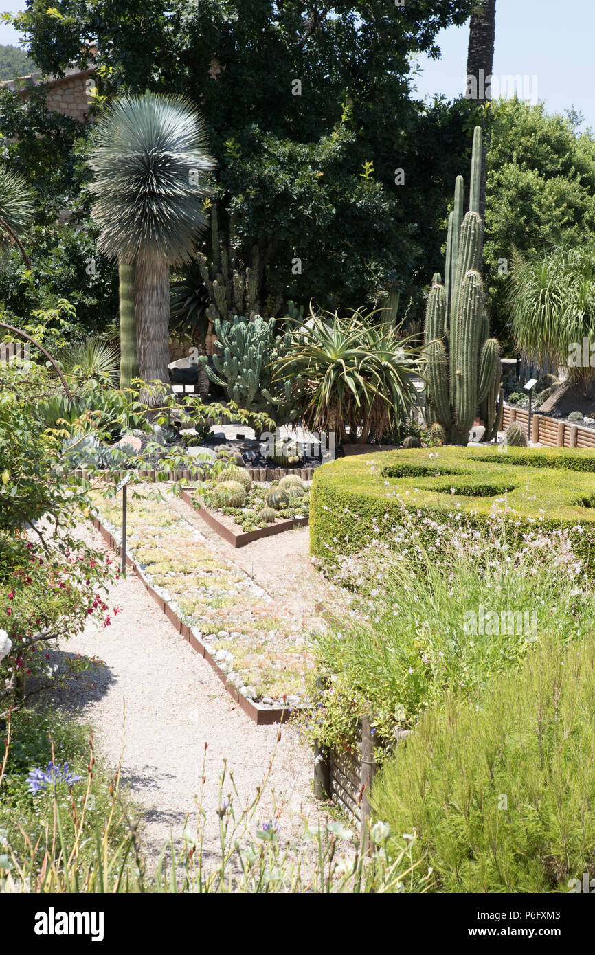 Mediterranen Botanischen Garten Soller Mallorca Spanien Europa