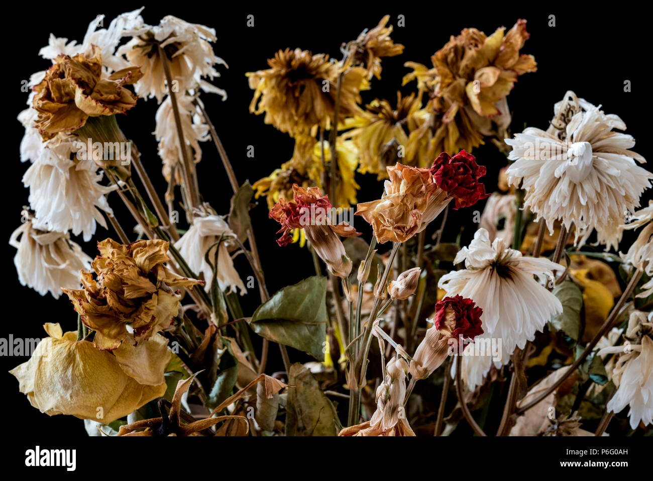 Vase von toten und verwesenden Blumen. Die Gefühle der Einsamkeit, Trauer, Depression und Verlust des Lebens. Stockfoto