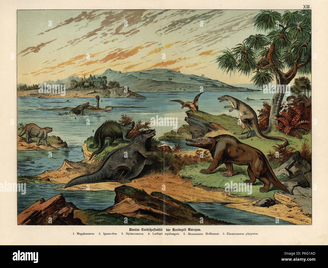 Wiederherstellung der Landschaft in Europa: Dinosaurier der Kreidezeit theropode Megalosaurus, Iguanodon, pflanzenfressende Dinosaurier ankylosaurian Hylaeosaurus, fleischfressende Dinosaurier Dryptosaurus aquilunguis (laelaps), aquatische Eidechse Mososaurus hoffmanni Elasmosaurus platyurus und plesiosaur. Chromolithograph von Dr. P. Die Rolle' Geologie und Paläontologie" in Gotthilf Heinrich von Schubert's "Naturgeschichte", Schreiber, München, 1886. Stockfoto
