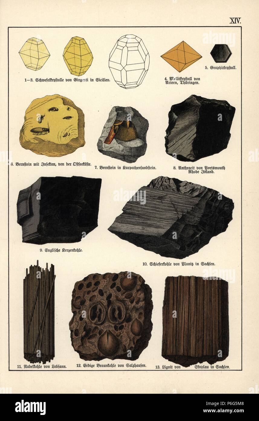 Mineralien und cystals von Schwefel, mellite, Graphit, Bernstein mit Insekten, Bernstein in Karpaten Stein, Anthrazit, Englische Kohle, Schiefer Kohle, Nadel Kohle, Earthier braun Stein- und Braunkohle. Von Dr. chromolithograph Aldolph Kenngott's "ineralogy" in Gotthilf Heinrich von Schubert's "Naturgeschichte", Schreiber, München, 1886. Stockfoto