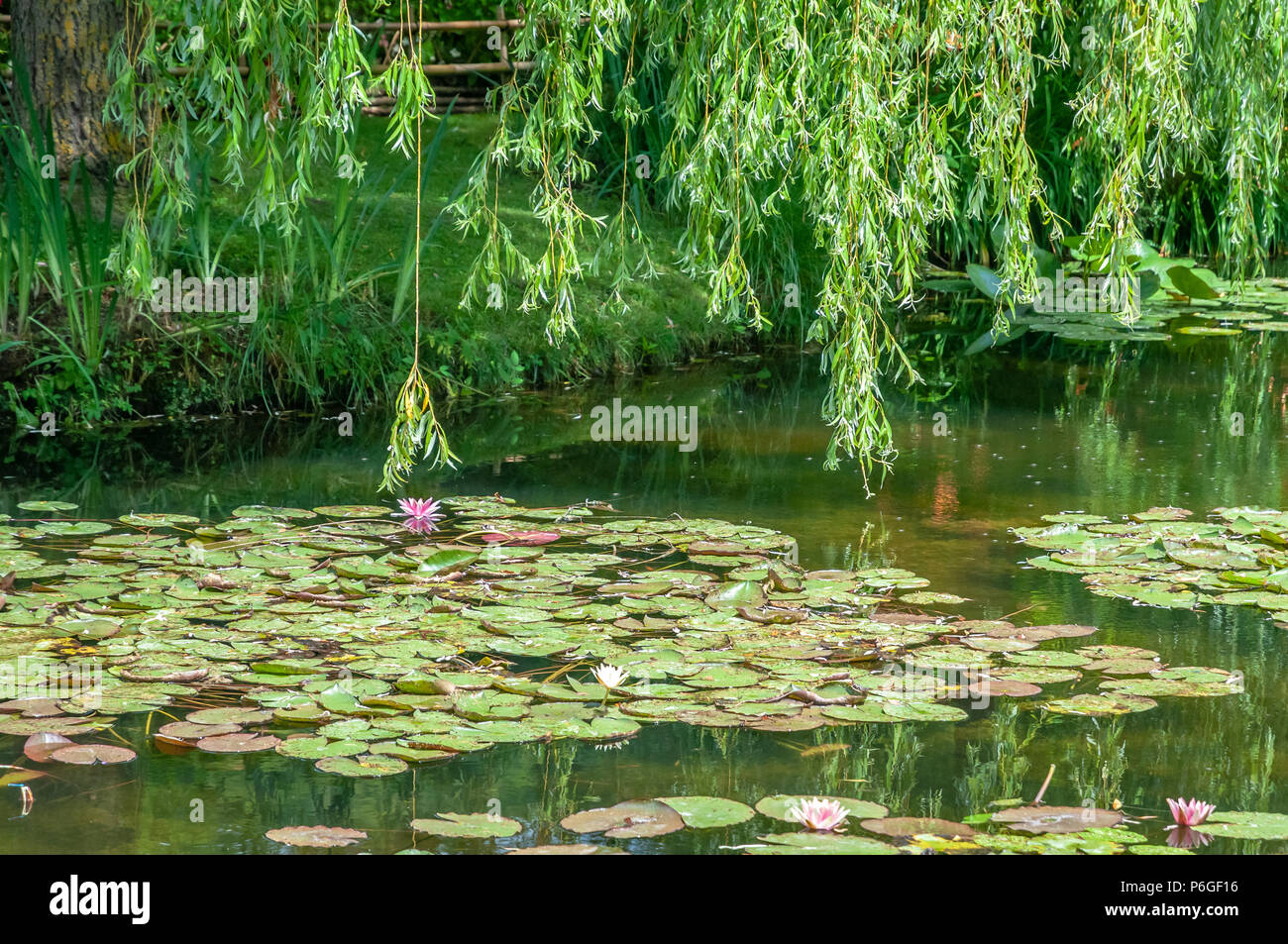 Giverny teich blumengarten Fotos und Bildmaterial in hoher