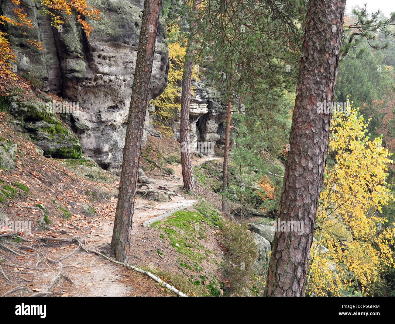 Rock im Herbst Wald, Böhmische Schweiz, Tschechische Republik Stockfoto