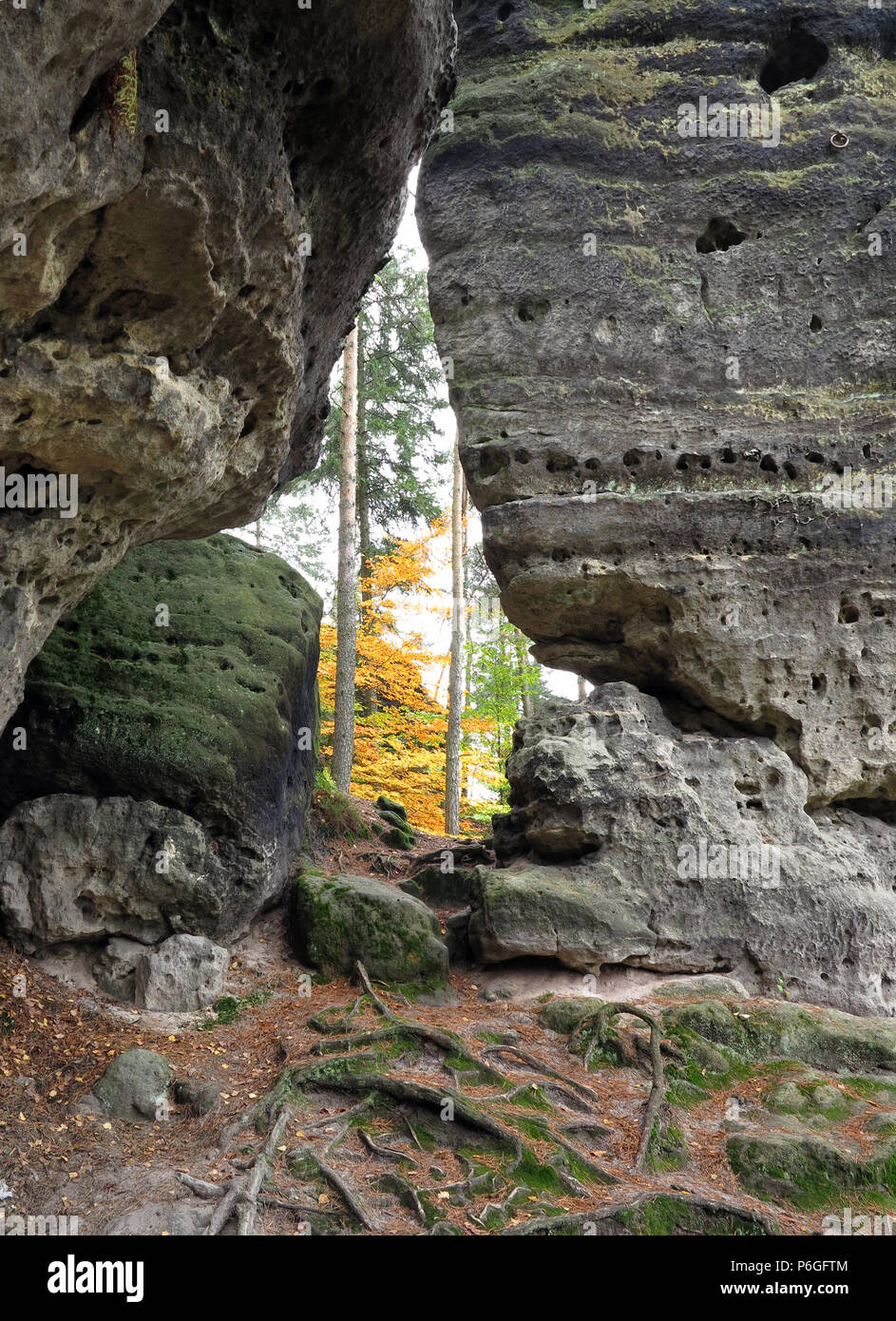 Wanderweg in den Wald, Böhmische Schweiz, Tschechische Republik Stockfoto