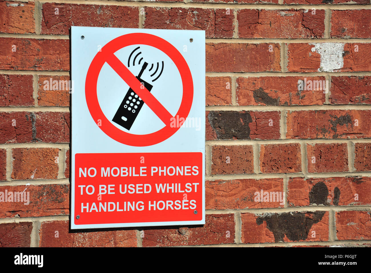 Warnung Schild, keine Mobiltelefone in diesem stabilen verwendet werden Stockfoto