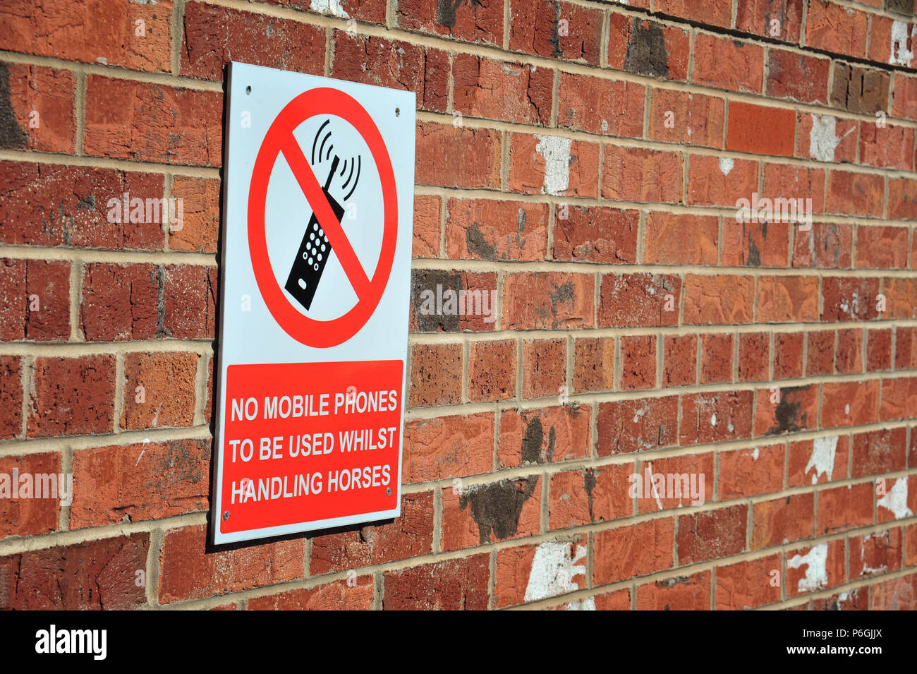 Warnung Schild, keine Mobiltelefone in diesem stabilen verwendet werden Stockfoto