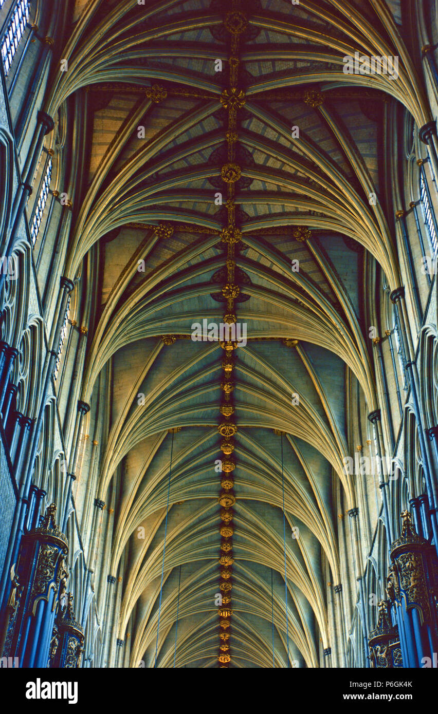 Langhaus und Chor vaulting, Westminster Abbey, London, England Stockfoto