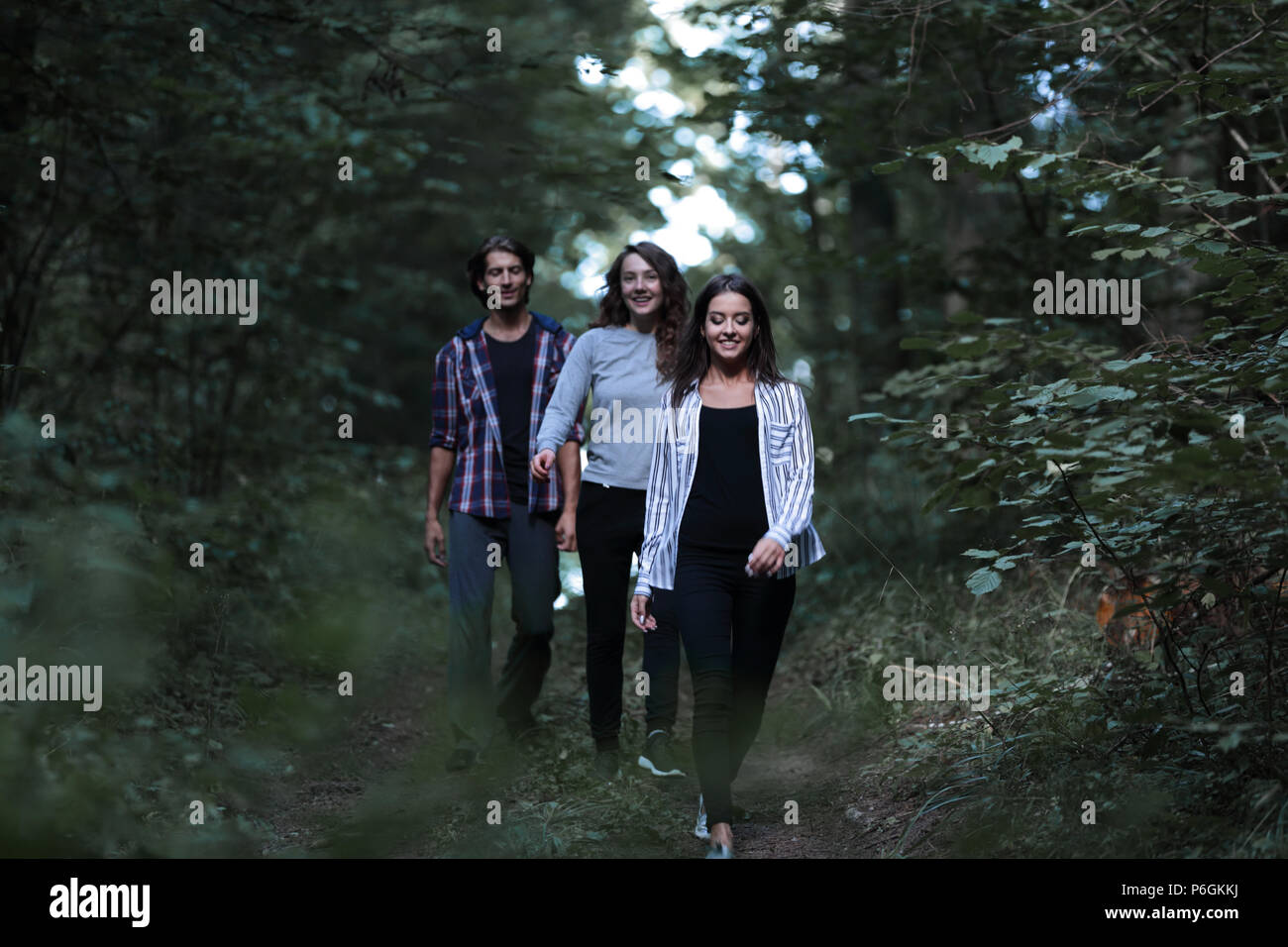 Führer führt sein Team auf einer Forststraße. Stockfoto