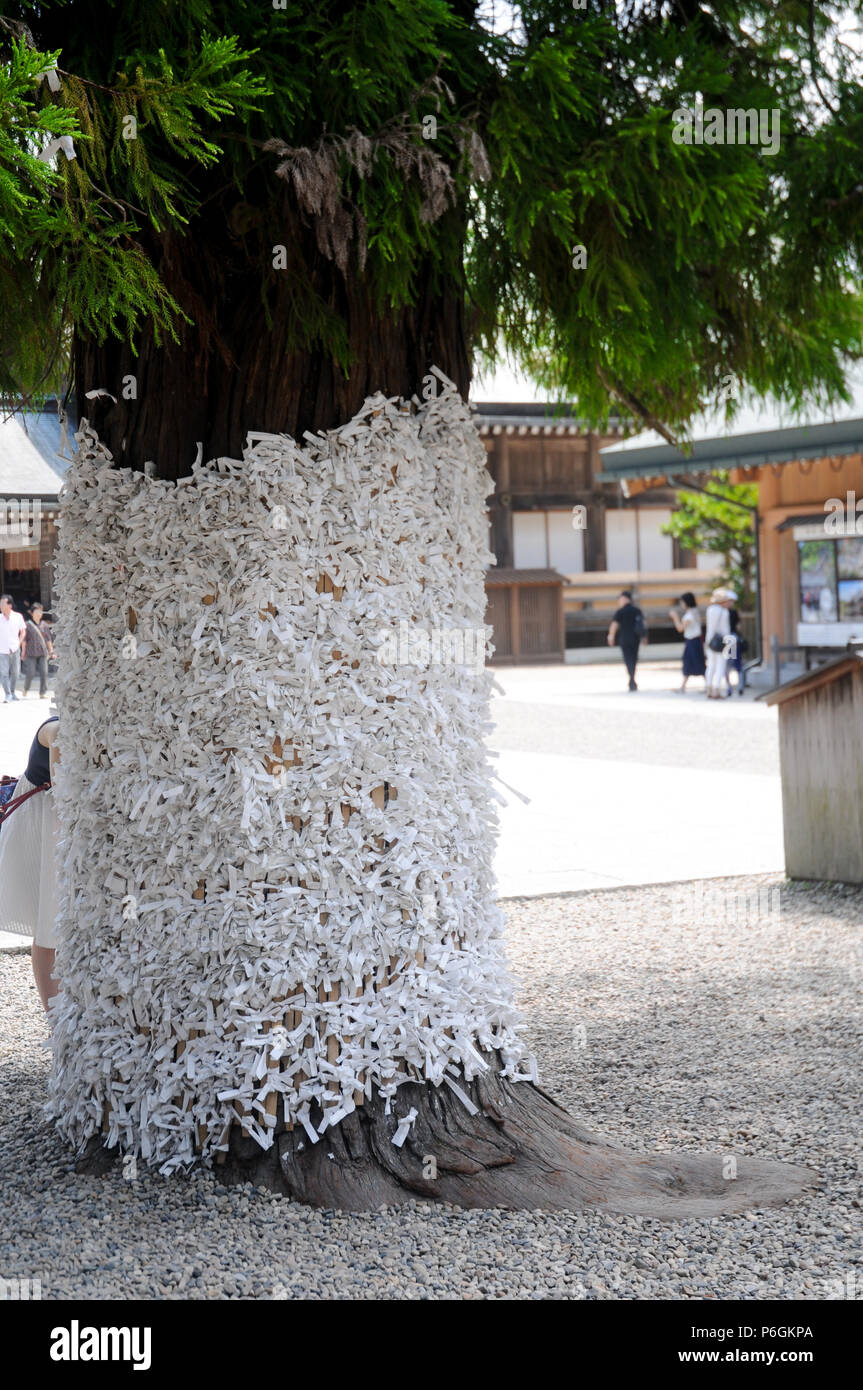 Wahrsagen Papier auf den Baum an der Izumo Taisha Shrine, Shimane, Japan. Zu beten, Japaner in der Regel 2 mal klatschen mit den Händen, aber für Thi Stockfoto