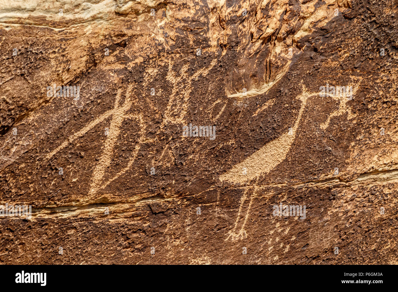 Felszeichnungen von Newspaper Rock, einer Gruppe von rockfaces mit über 650 alten Schnitzereien in Petrified Forest National Park, Arizona. Stockfoto