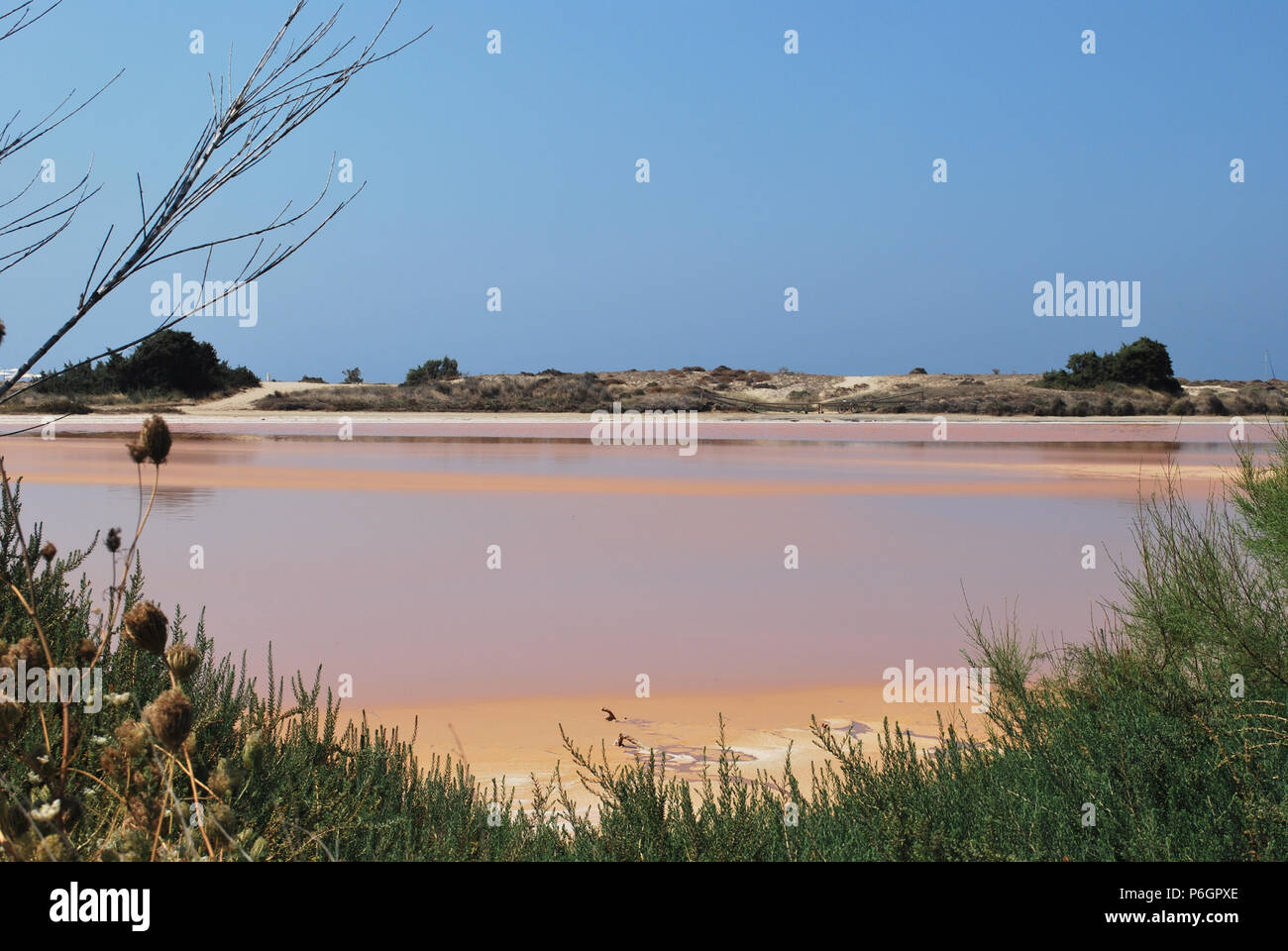 Rote Lagune Stockfoto