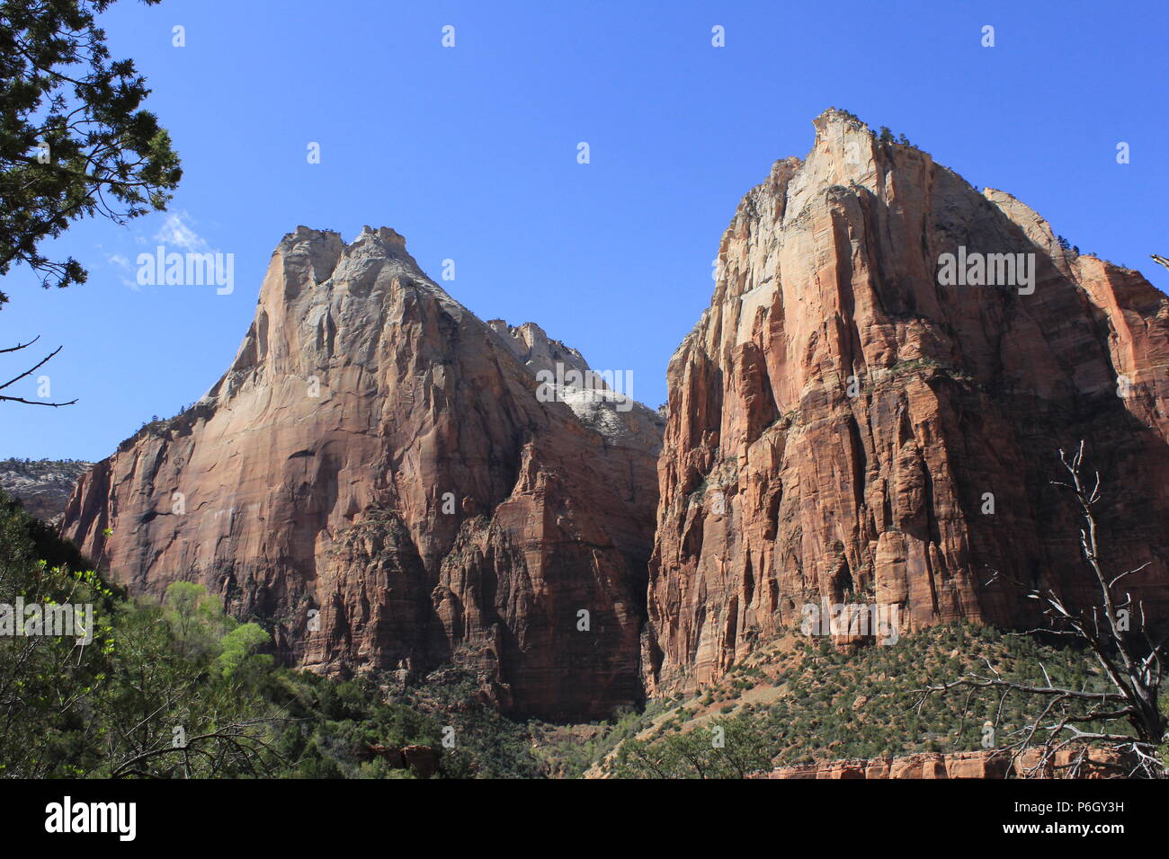 Zion Nationalpark Stockfoto