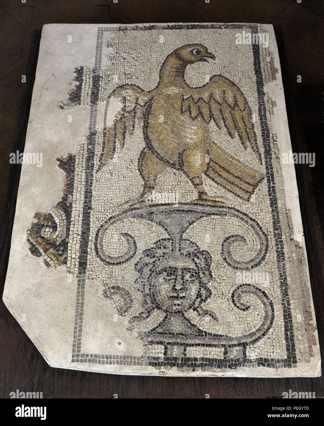 Adler und Medusenhaupt. Teil von einem Mosaikfußboden Synagoge von Yafia, unteren Galiläa. 4. Jahrhundert n. Chr. Israel. Stockfoto