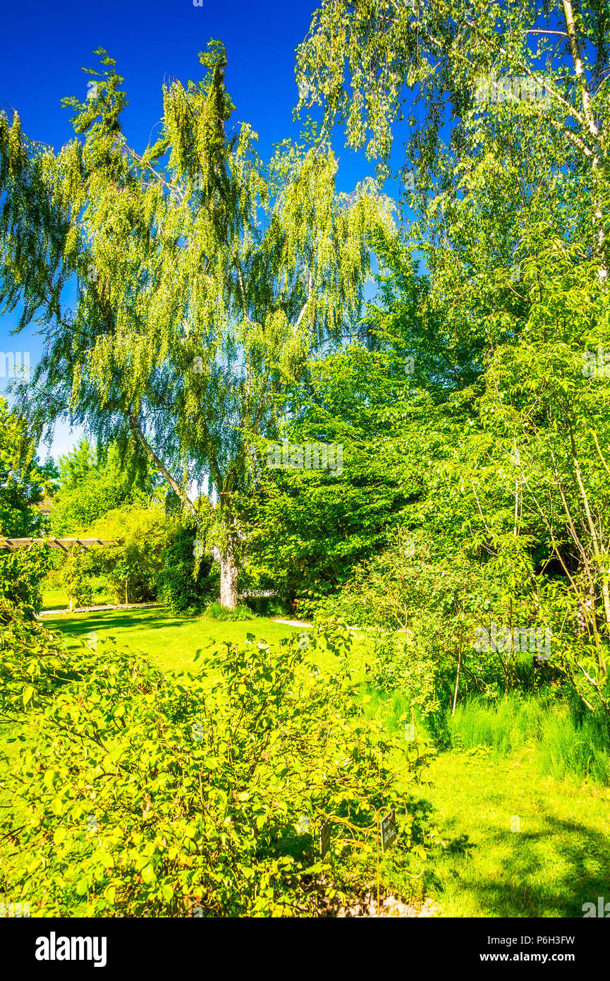 Der Rosengarten in Provins, Frankreich Stockfoto