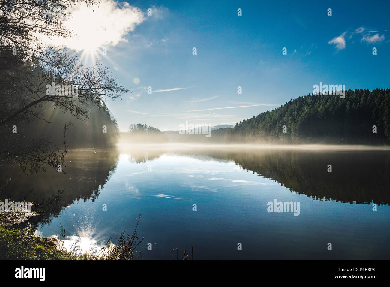 Sonnenstrahlen im Winter mit Nebel auf dem See und der Reflexion von den Bäumen im Bayerischen Wald Stockfoto