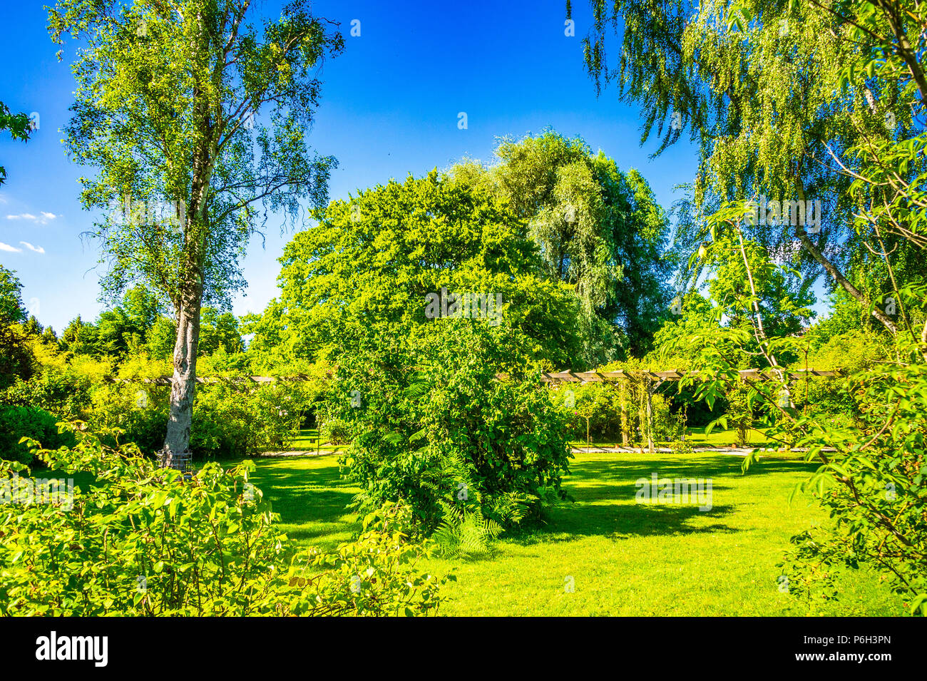 Der Rosengarten in Provins, Frankreich Stockfoto