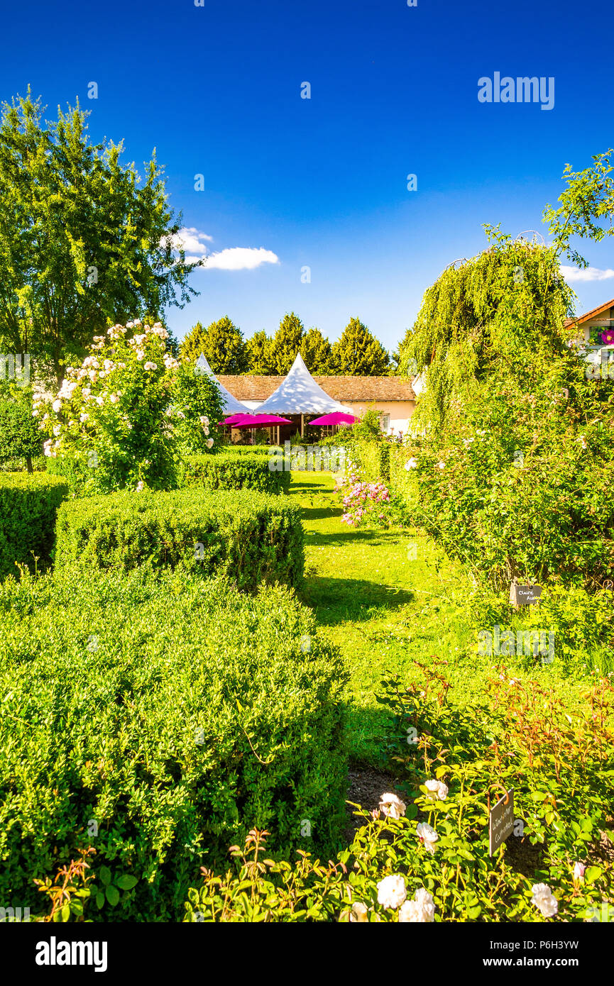 Der Rosengarten in Provins, Frankreich Stockfoto