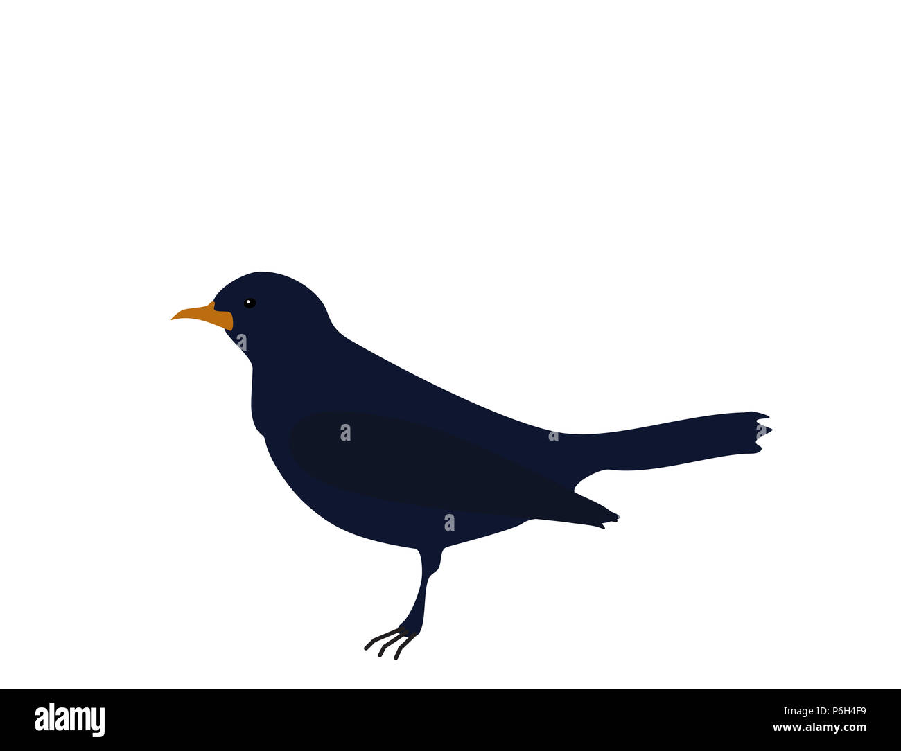 Dark Blue Bird Songbird (common Blackbird) mit orangefarbenen Schnabel auf weißem Hintergrund, flache Bauform, Vector, eps 10. Stockfoto