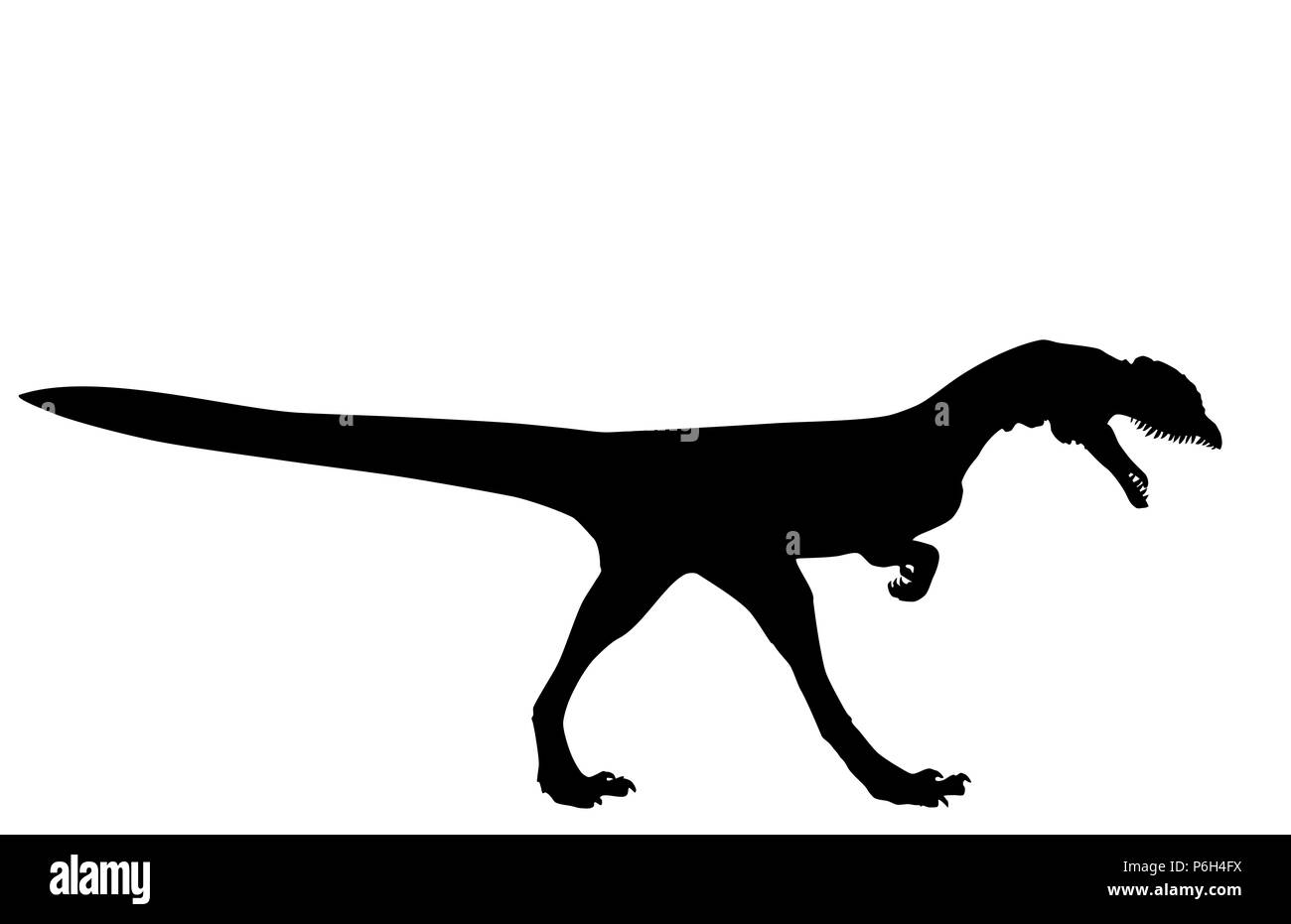 Dilophosaurus Dinosaurier wetherilli schwarze Silhouette auf weißem Hintergrund, Vektor EPS 10. Stockfoto