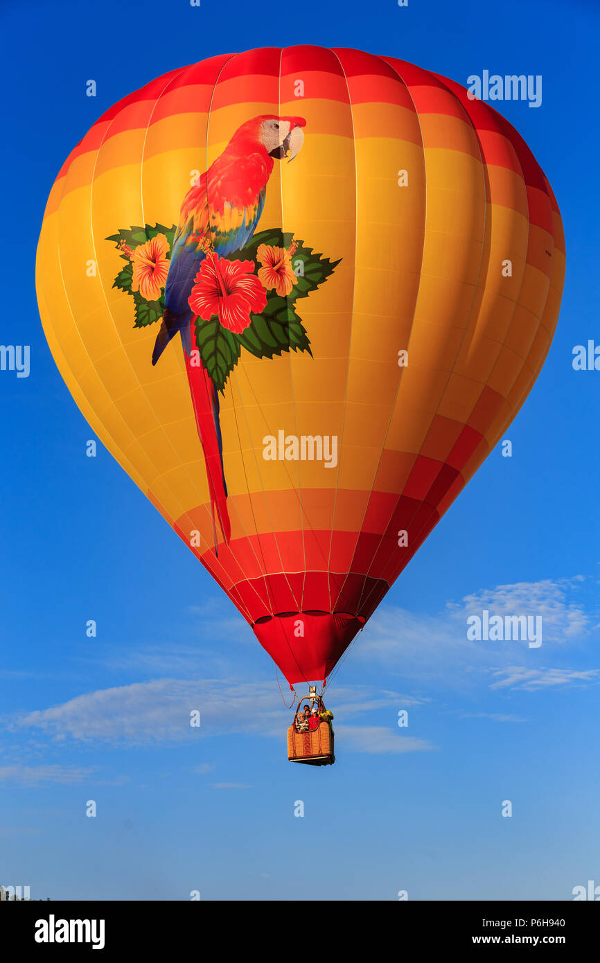 Avondale, PA, USA - Juni 24, 2018: ein Heißluftballon mit einem großen Papagei im Flug in der Chester County Balloon Festival im Neuen Garten fliegen Fie Stockfoto