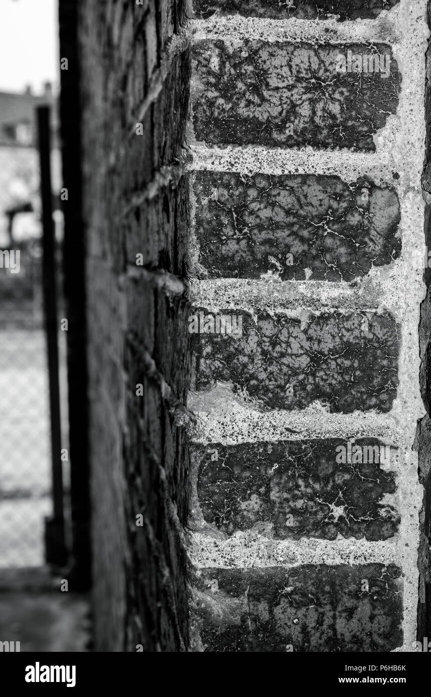 Alte Mauer Stockfoto