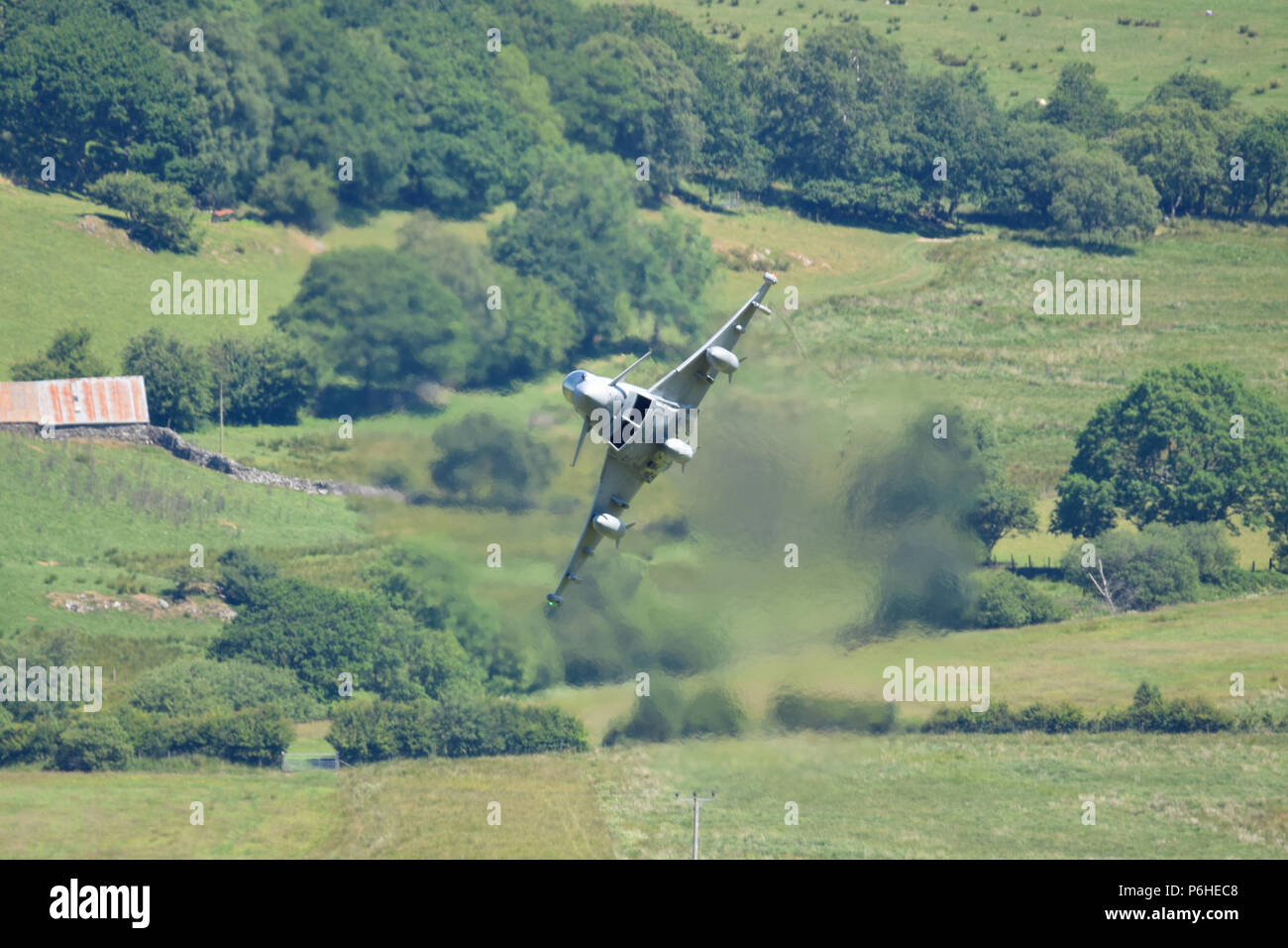 Eurofighter EFA-T.3 Typhoon Stockfoto