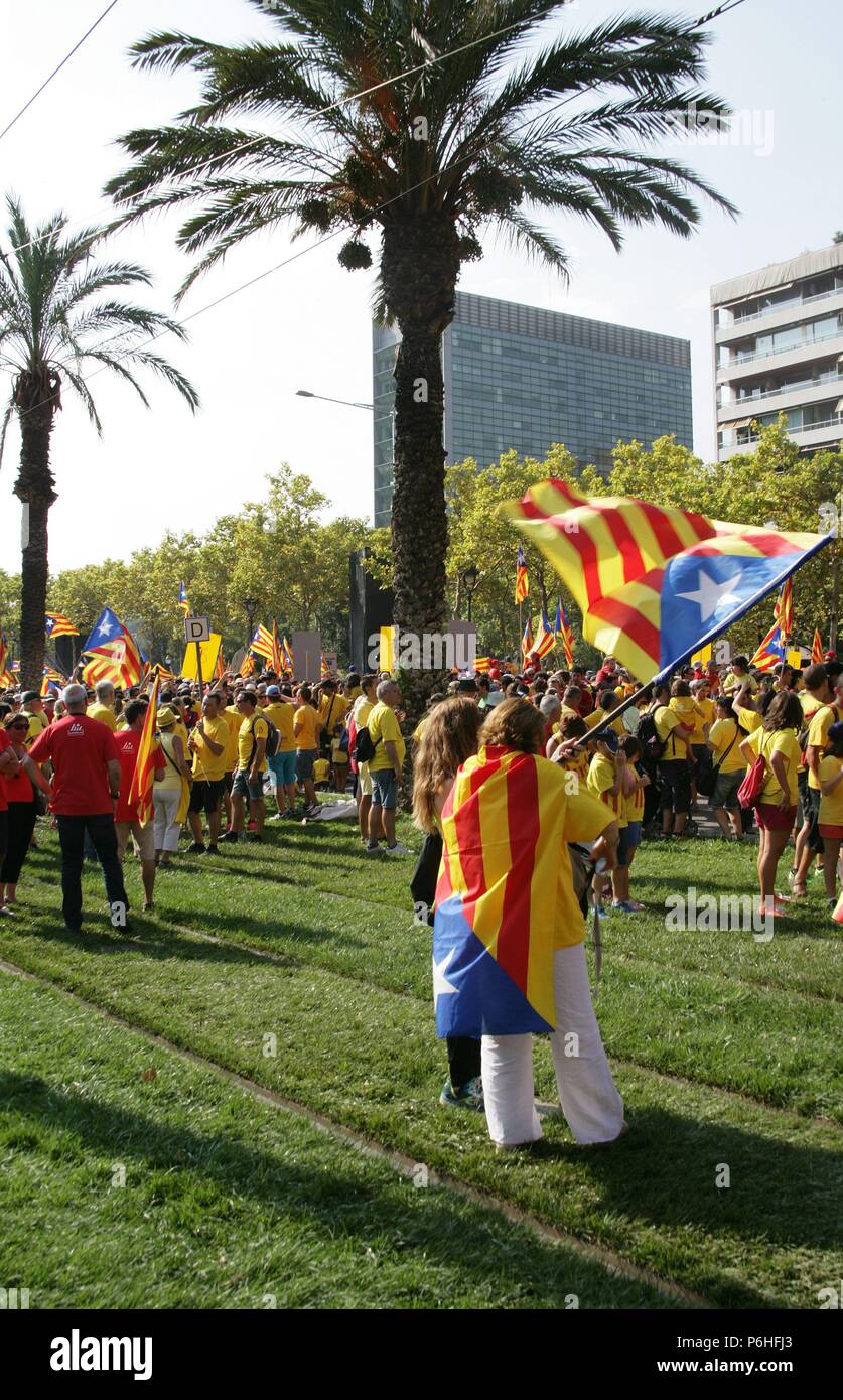 Barcelona. Nationalfeiertag von Katalonien (11-09-2014). 300. Jahrestag der Niederlage von Katalonien während des spanischen Erbfolgekrieges. Die Katalanen Aufruf zur Volksabstimmung und bilden ein Giant V eine Abstimmung zu verlangen. Organisiert von katalanischen Nationalversammlung (ANC). Städtischer Abgeordneter Fahnen. Katalonien. Stockfoto