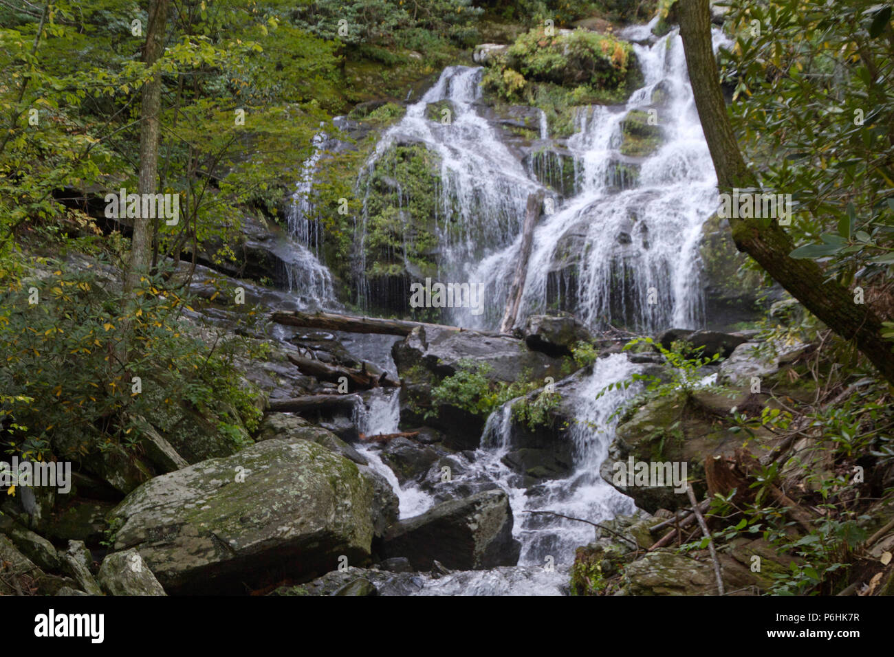 Catawba fällt, einem malerischen Wasserfall in den Blue Ridge Mountains, Kaskaden über 100 Fuß auf Felsen und Protokolle am Ende der Catawba fällt Wanderweg Stockfoto