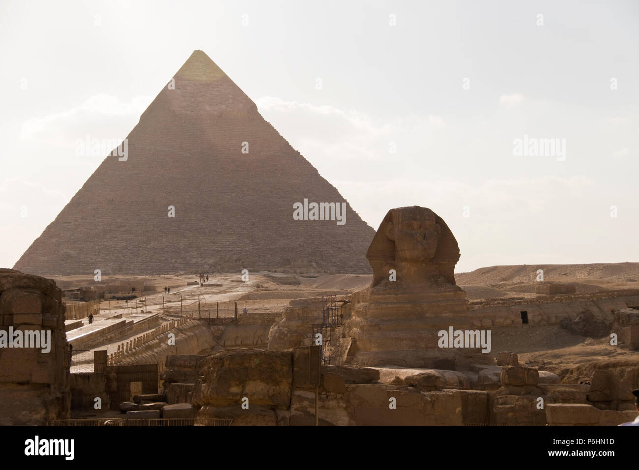 Die Große Sphinx von Gizeh, ein Fabelwesen mit dem Körper eines Löwen und menschlichen Kopf, vor der Pyramide der Khafre, Giza, Ägypten. Stockfoto