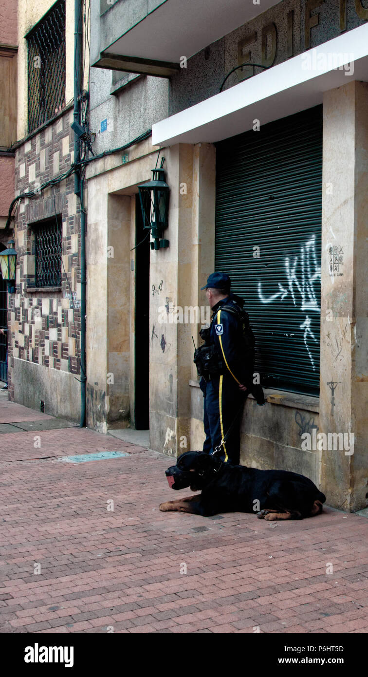 Mensch und Hund durch Graffiti übersäten Wände in Bogota, Kolumbien, ohne die Kunst Stockfoto