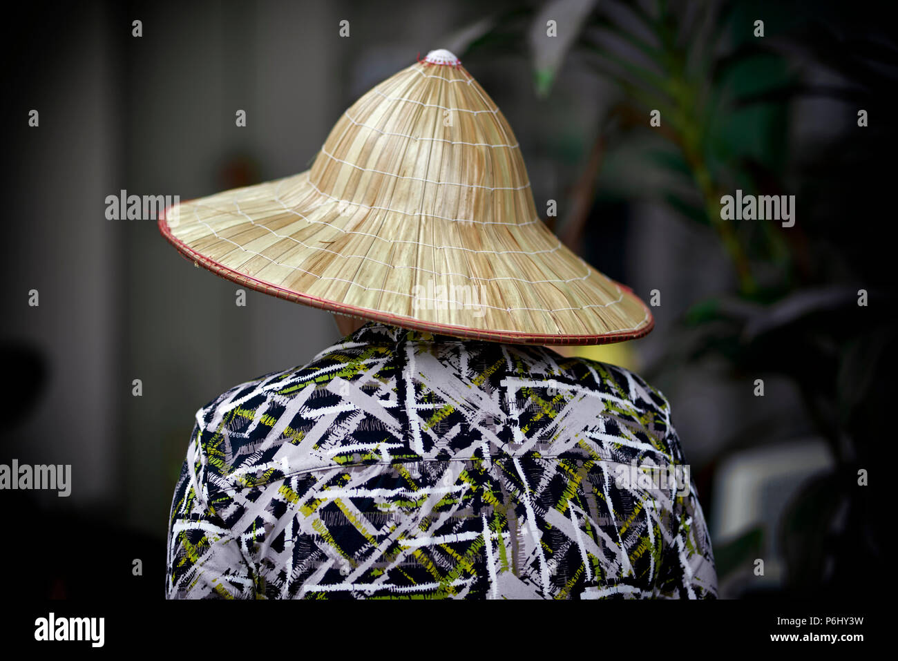 Asiatischer reis hut -Fotos und -Bildmaterial in hoher Auflösung – Alamy