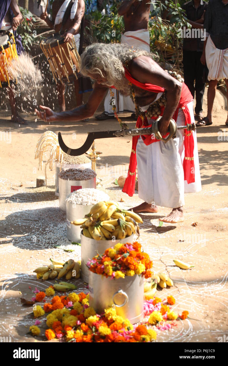 Para eduppu ist eine benutzerdefinierte populär in Kerala bhagavathi Tempel. velichappad oder Oracle und sein Team visits Häuser devotees zu segnen. Stockfoto