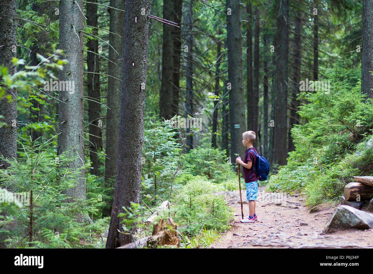 Junge niedliche Kind junge Wanderer mit Rucksack und allein stehend auf beleuchtete durch Bright Sun Mountain schmalen Pfad in dichten stick Kiefernwald auf warmen Sommertag. T Stockfoto