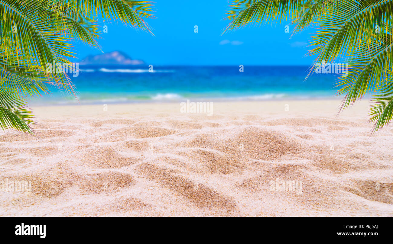 Sommer Urlaub weißen Sandstrand mit Platz für Text Kokosblättern Heckrahmen Meer energetische Stock anzeigen Stockfoto