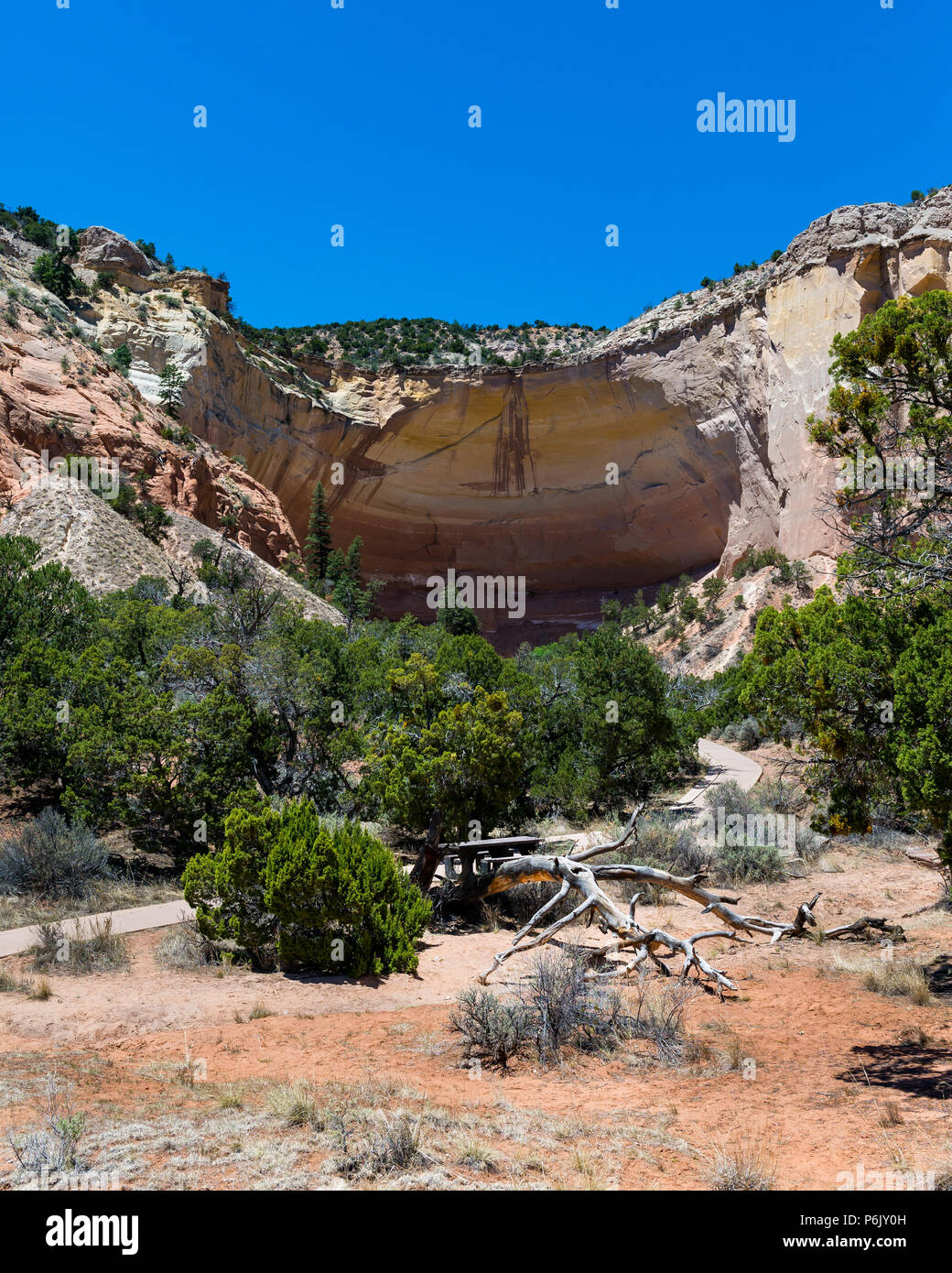 Echo Amphitheater in der Nähe von Ghost Ranch in Abiquiú New Mexico. Natürliche Szene mit Felsformationen und Bäumen und Sträuchern. Stockfoto