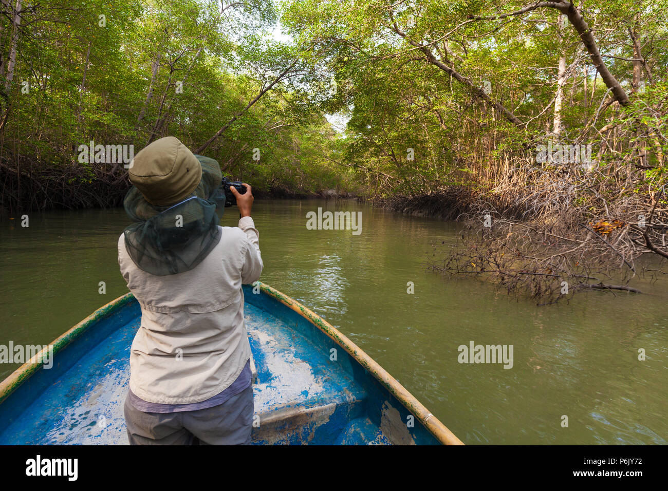 Boot Erkundungen auf dem Rio Grande, Pazifikküste, Provinz Cocle, Republik Panama. Stockfoto