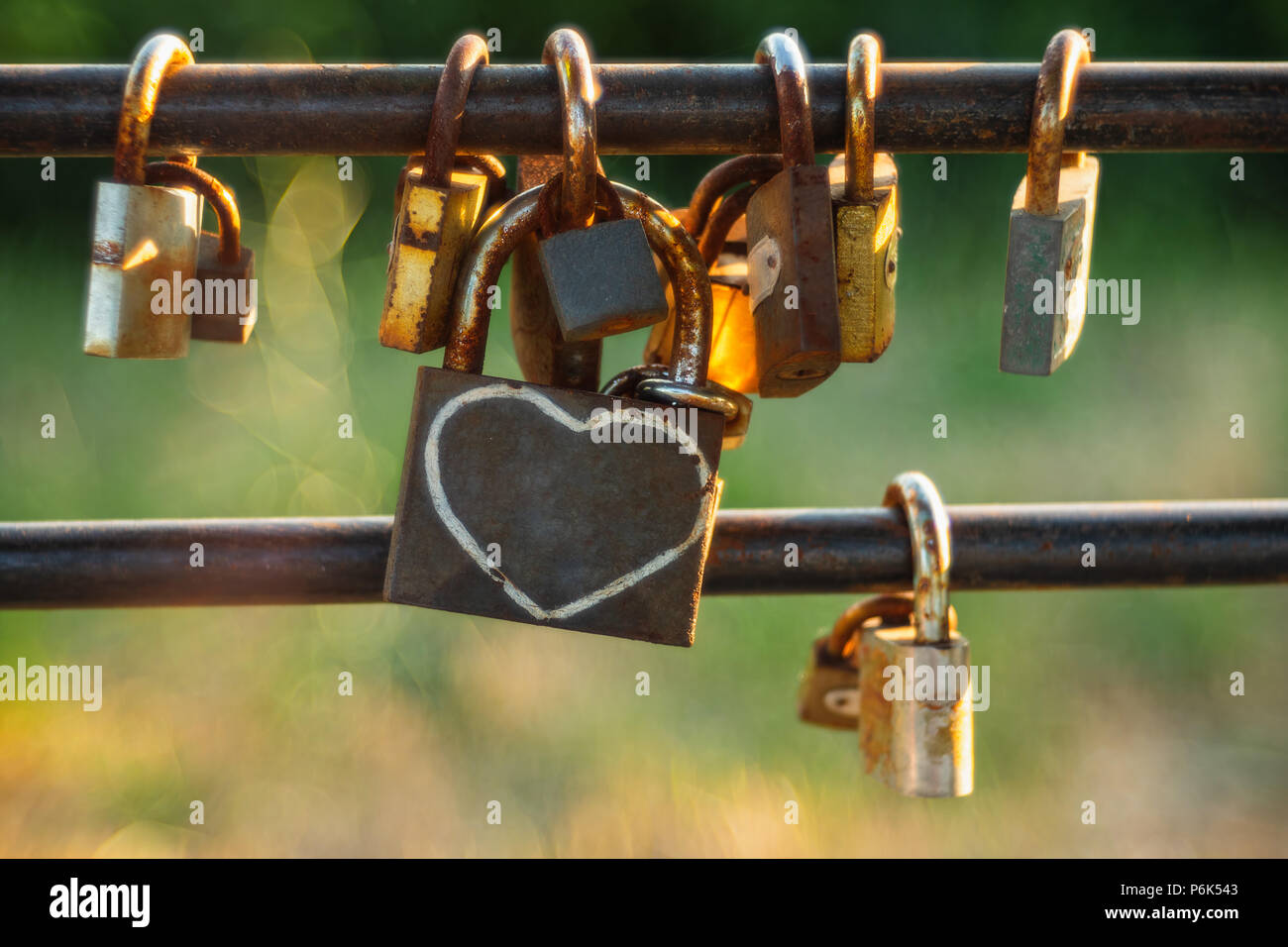 Draht Gartenzaun Stockfotos und bilder Kaufen Alamy