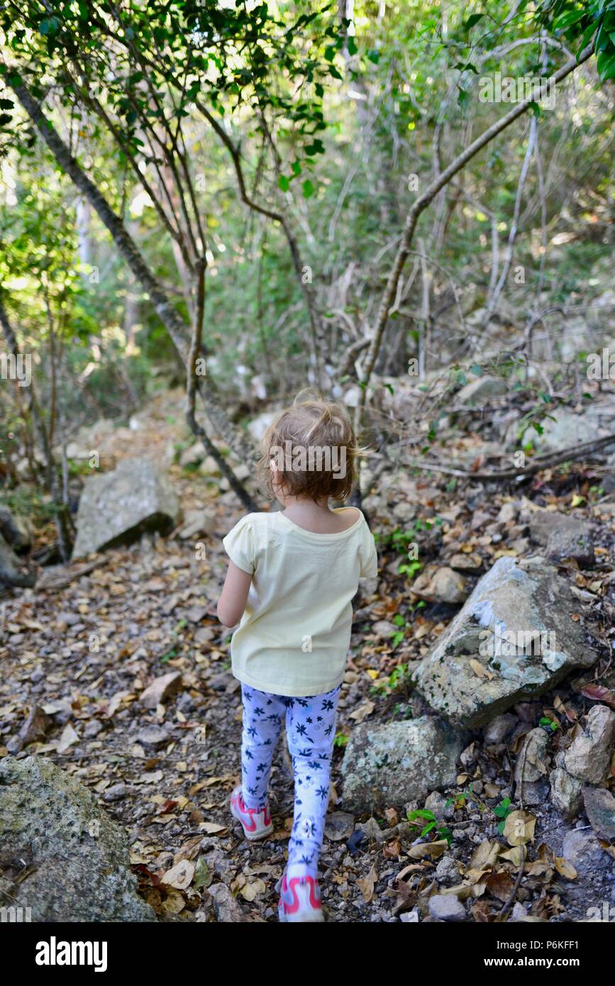 Kleines Kind gehen durch einen Wald, von hinten, viele Gipfel wanderung Berg Marlow, Townsville Stadt gemeinsame Queensland, 4810, Australien Stockfoto