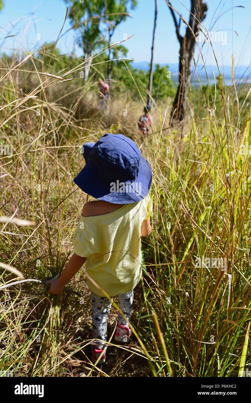 Kind geht durch lange Gras in einer abgelegenen Gegend, viele Gipfel Wanderung zum Berg Marlow, Townsville Stadt gemeinsame Queensland, 4810, Australien Stockfoto