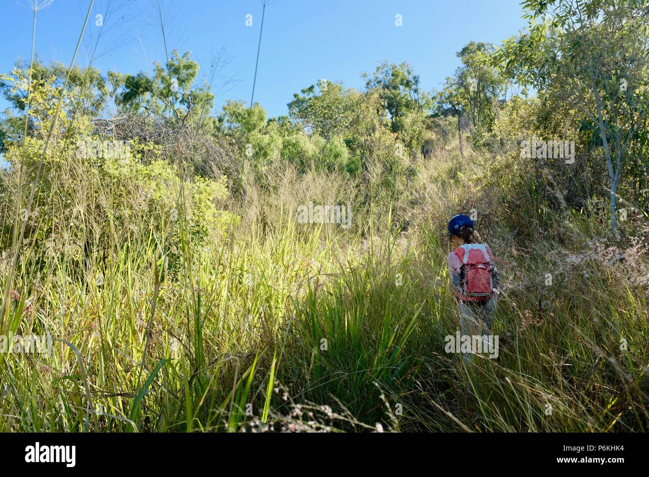 Kind geht durch lange Gras in einer abgelegenen Gegend, viele Gipfel Wanderung zum Berg Marlow, Townsville Stadt gemeinsame Queensland, 4810, Australien Stockfoto