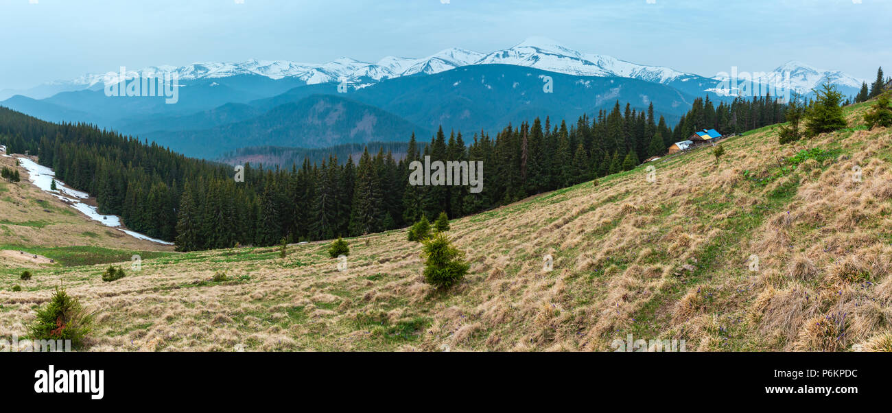 Der frühe Frühling Karpaten plateau Landschaft, Ukraine, Europa. Stockfoto